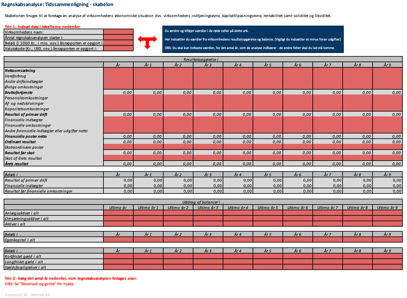 Regnskabsanalyse - Skabelon | Virksomhedsøkonomi